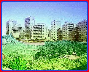 ORAN 008 CARTE SOUVENIRS - Copie (2)